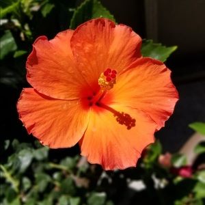 Meet your Posher, Daphne